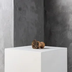 Humdakin HUMDAKIN Pot Brush Topfburste Buchenholz