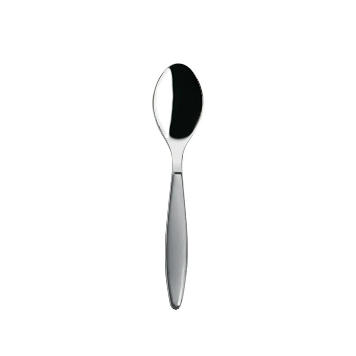 Guzzini Matt Grey Teaspoon 1 Guzzini Matt Grey Teaspoon