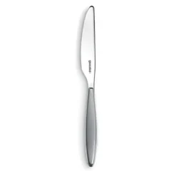 Guzzini Matt Grey Fruit Knife