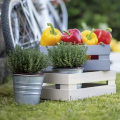 Guzzini Large Tidy and Store Box 15 Guzzini Large Tidy and Store Box